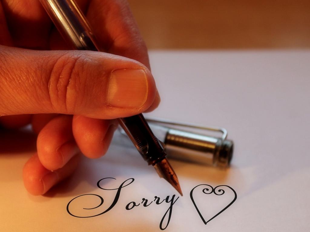 Love Means Never Having To Say You Re Sorry - Sorry In Different Style - HD Wallpaper 