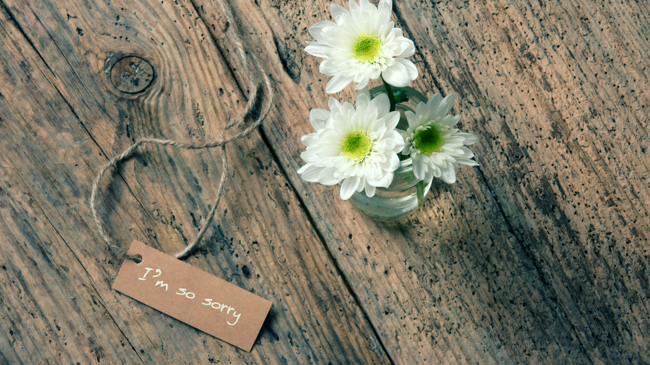 Sorry Background - HD Wallpaper 