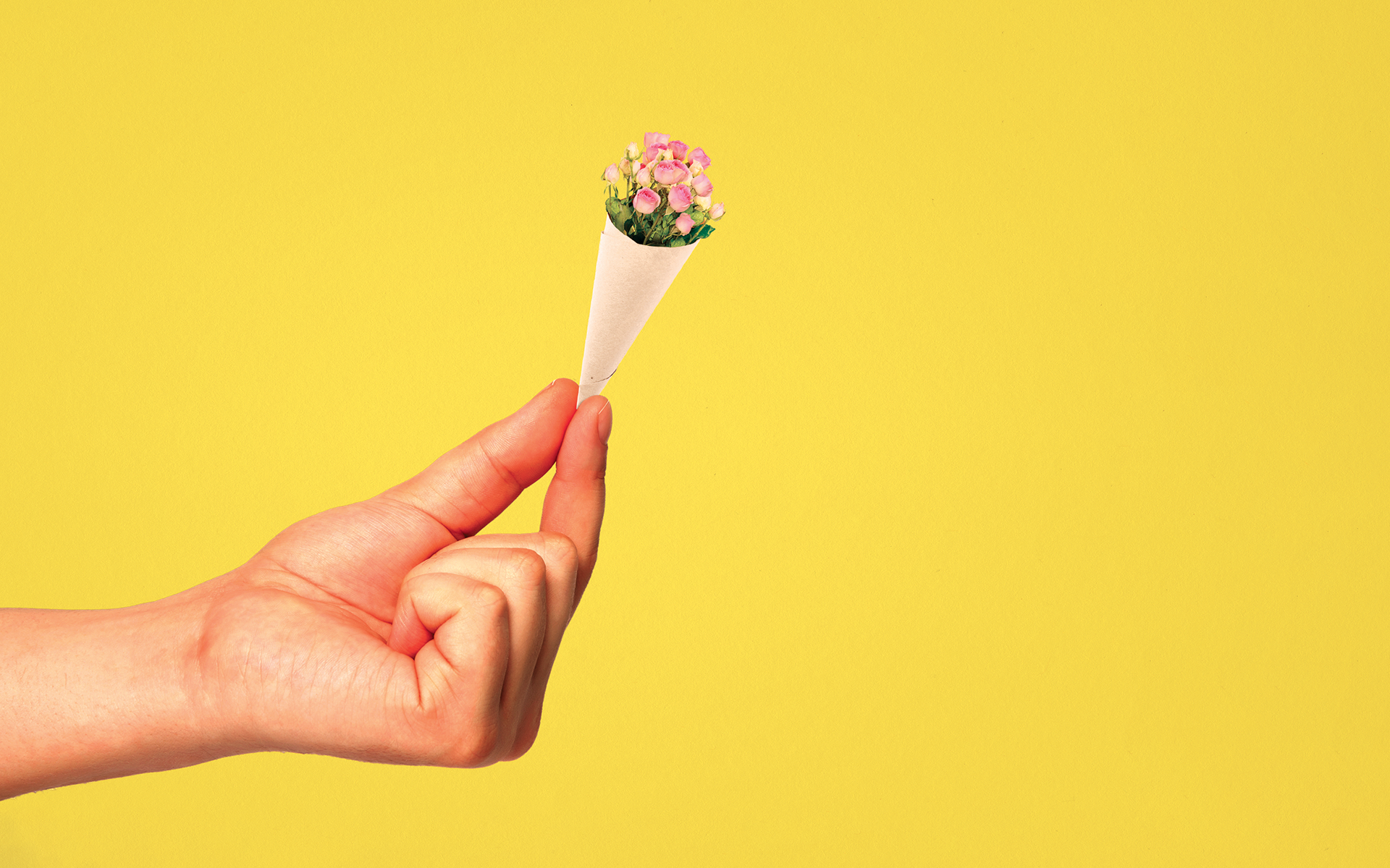 Unab Le To Apologize - HD Wallpaper 