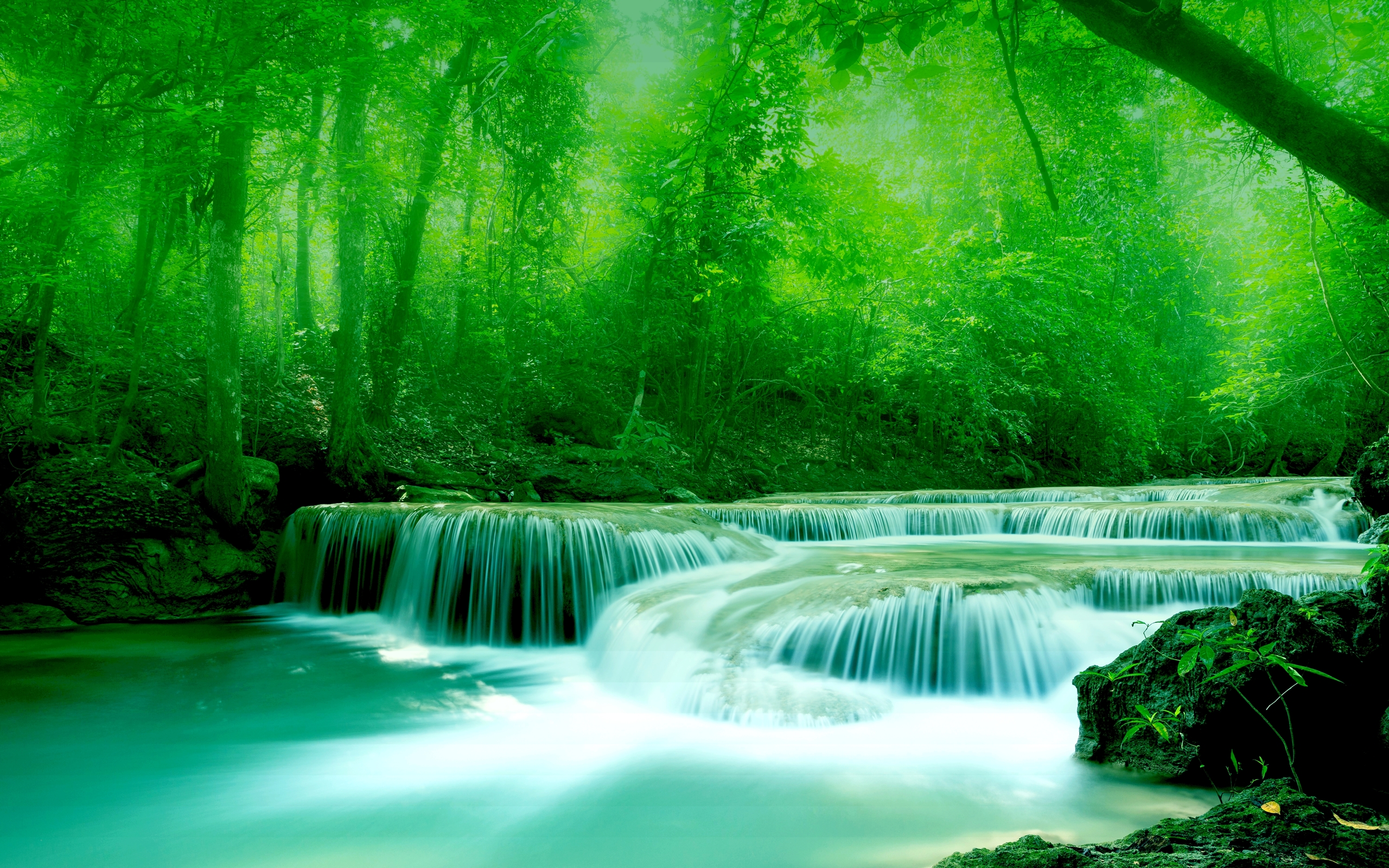 Beautiful Wallpapers Greenery - HD Wallpaper 