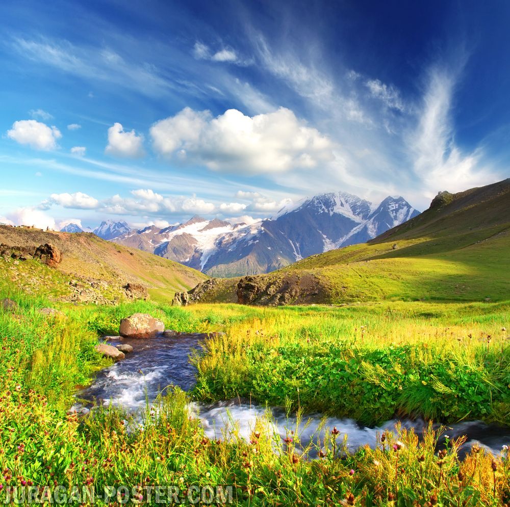 Mountain Meadow River - HD Wallpaper 
