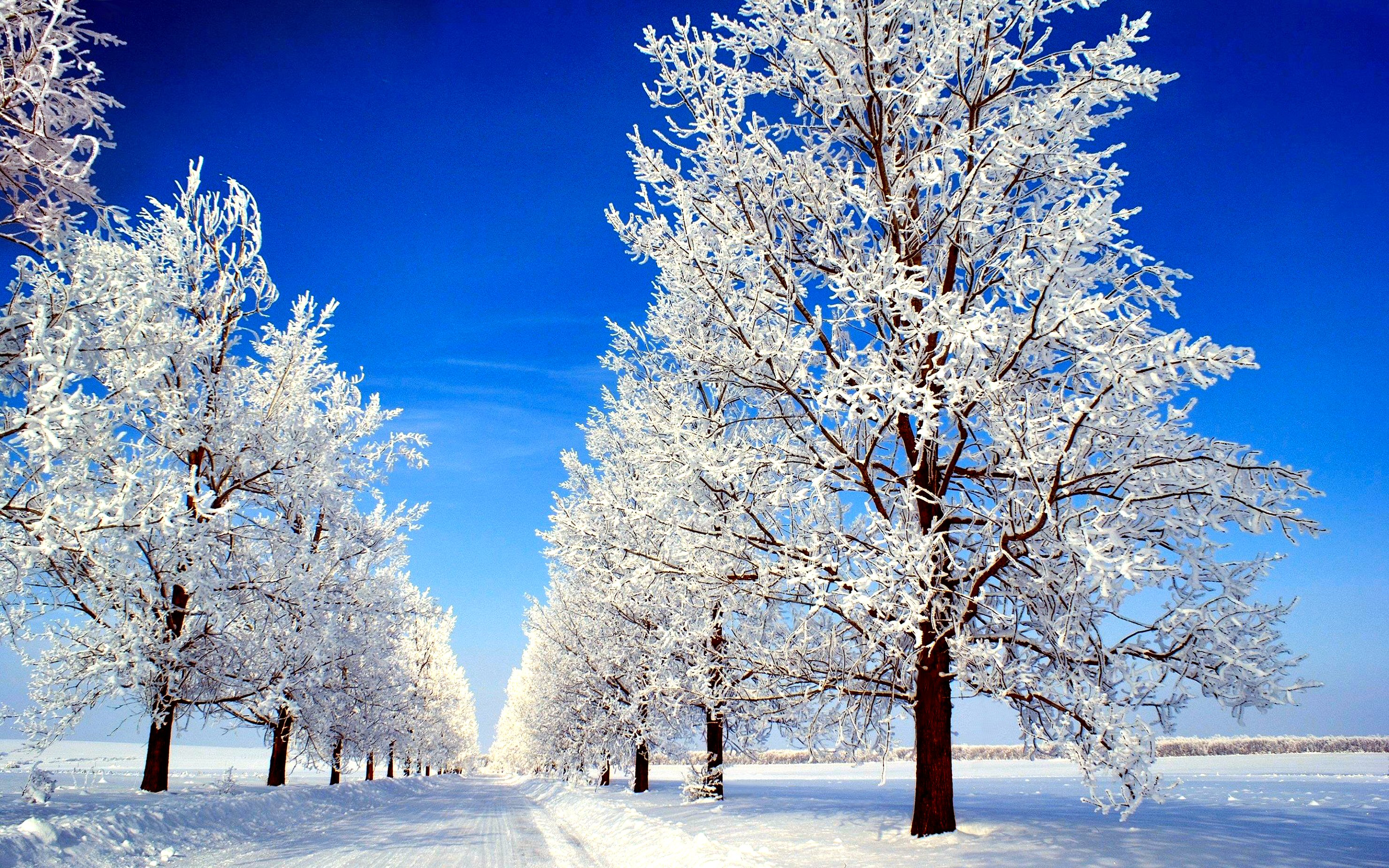 Winter Snow - HD Wallpaper 