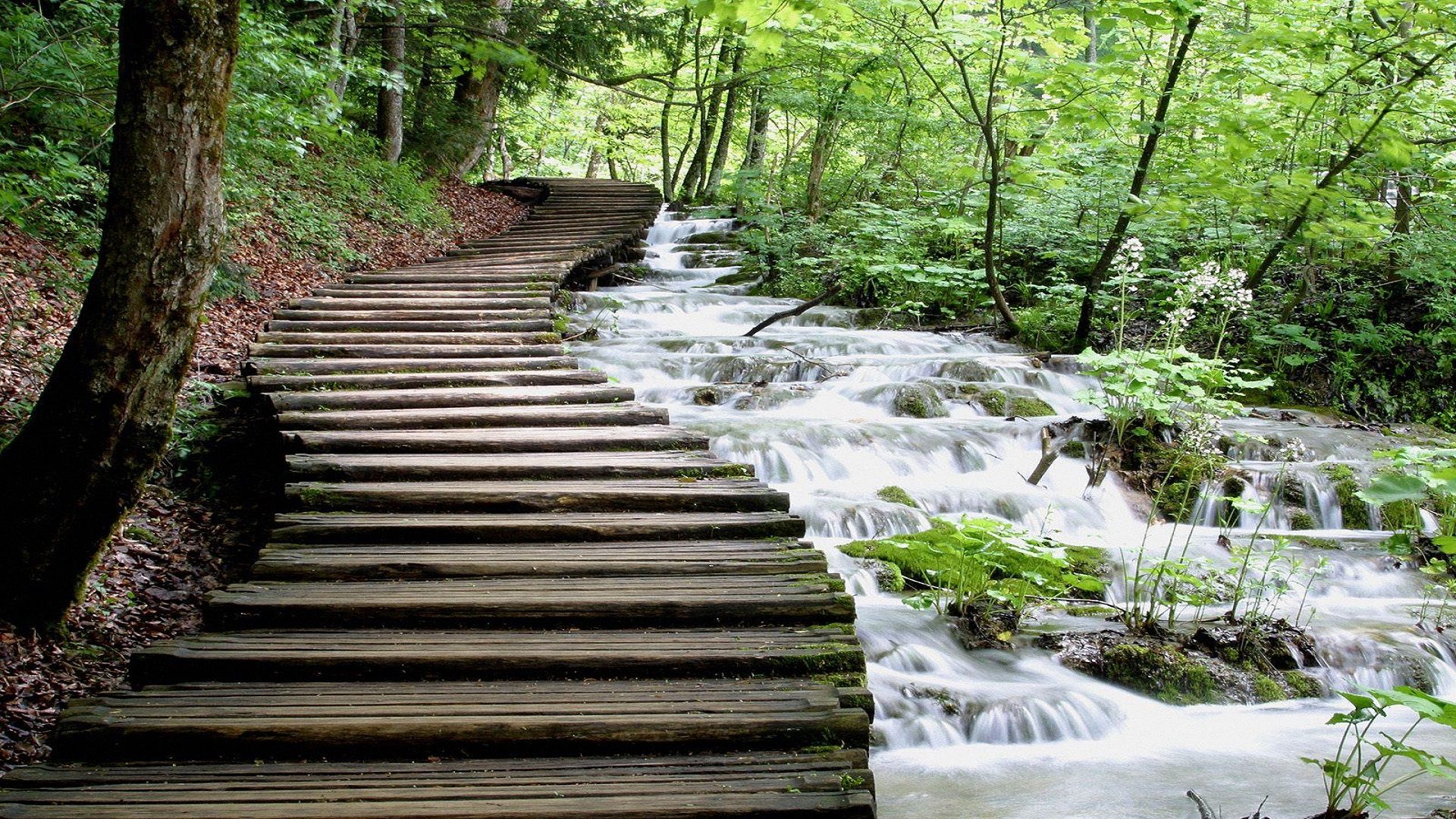 Most Amazing Waterfall 3d Hd Wallpapers Free For Desktop - Water Fall Hd Background - HD Wallpaper 