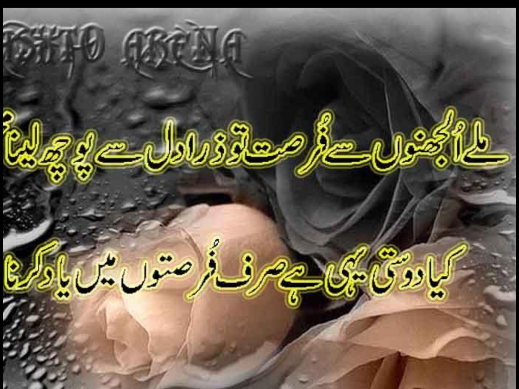 20130306-183030 - Friendship Dosti Shayari Urdu - 2048x1536 Wallpaper - 20130306-183030 - Friendship Dosti Shayari Urdu - 2048x1536 Wallpaper -