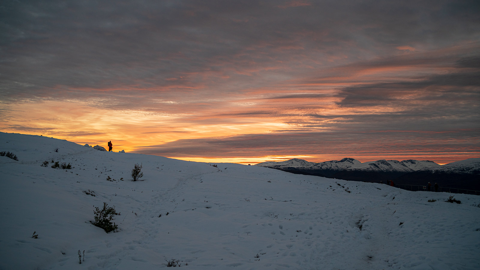 Snow - HD Wallpaper 