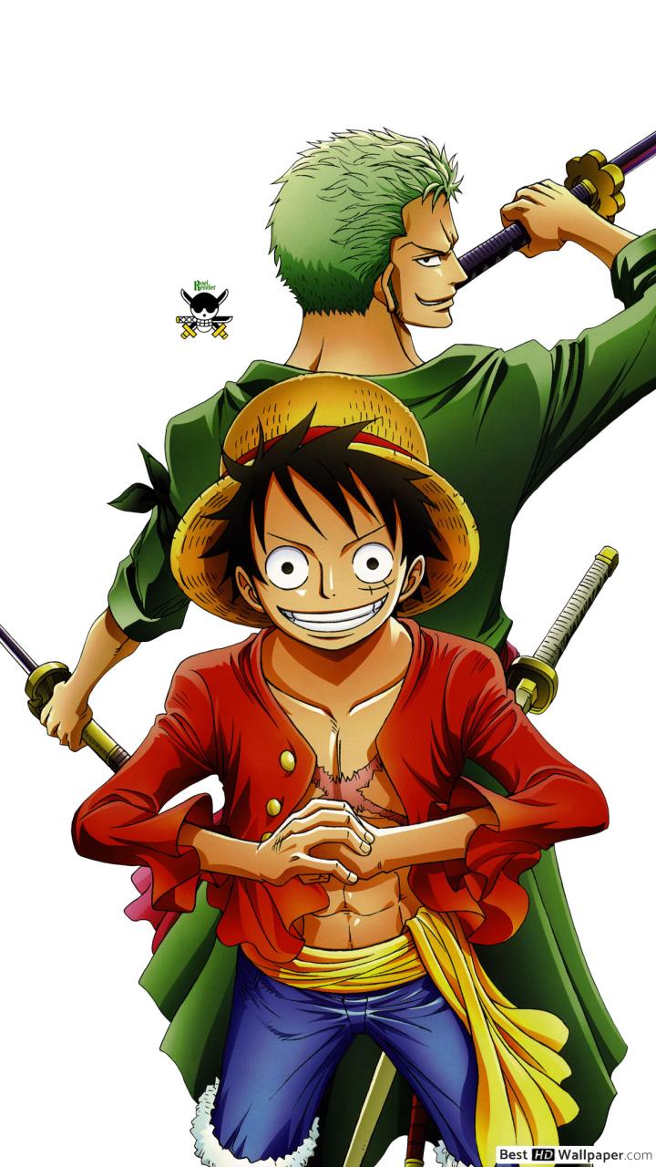 Monkey D Luffy And Zoro - HD Wallpaper 