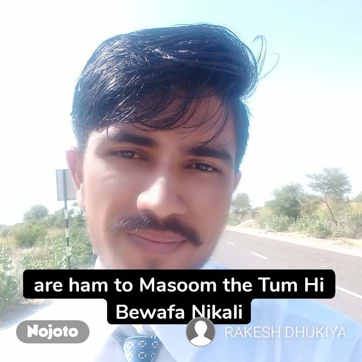 Photo Caption - HD Wallpaper 