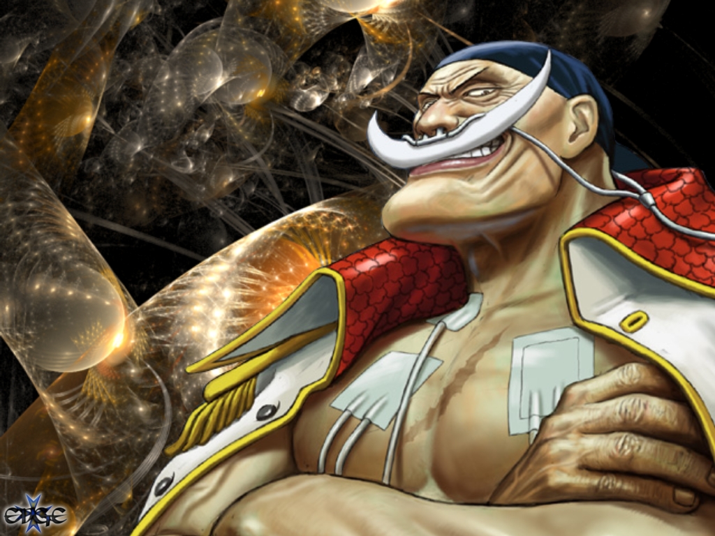 White☠beard White Bird One Piece 1024x768 Wallpaper teahub.io