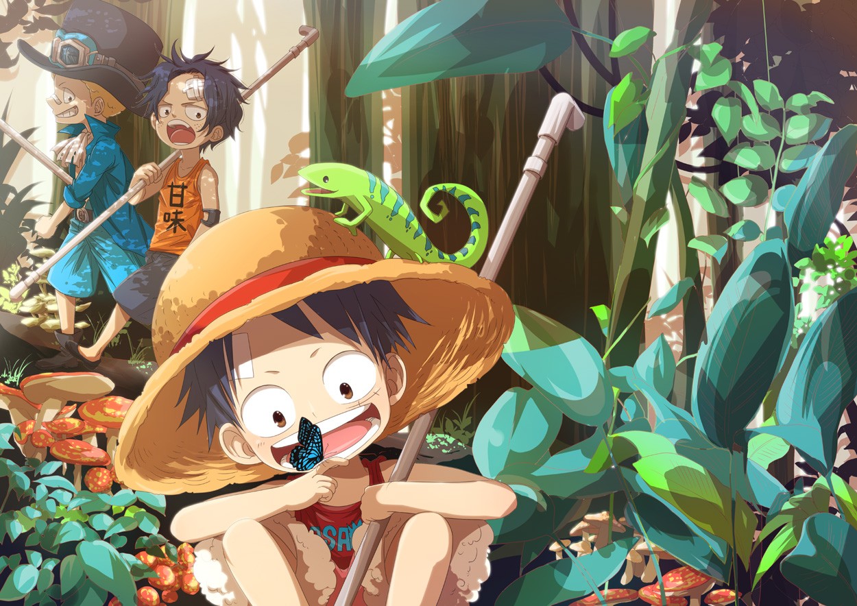 Anime Wallpaper One Piece - One Piece Sabo Ace Luffy - HD Wallpaper 