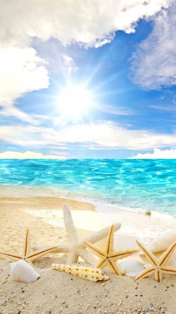 Beach Ocean - HD Wallpaper 