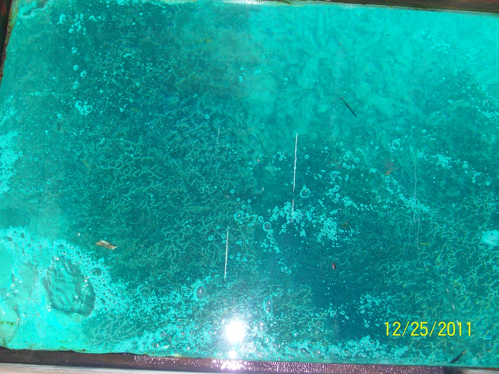 Underwater - HD Wallpaper 