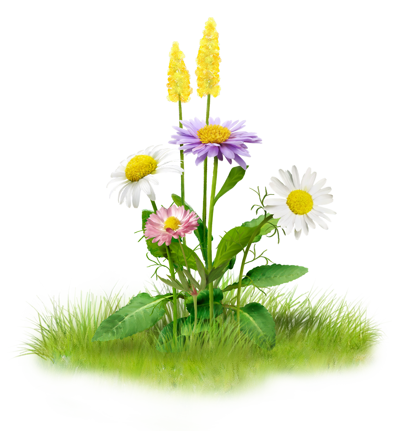 Nature Png Image - Nature Png - HD Wallpaper 
