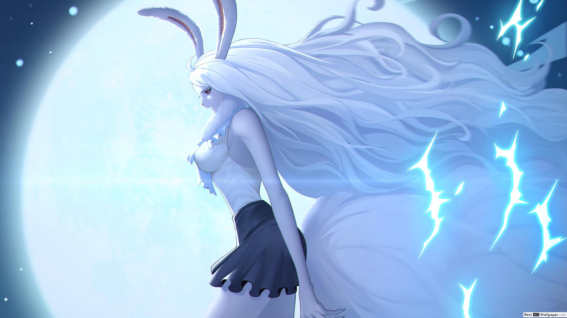 One Piece Carrot Sulong - HD Wallpaper 