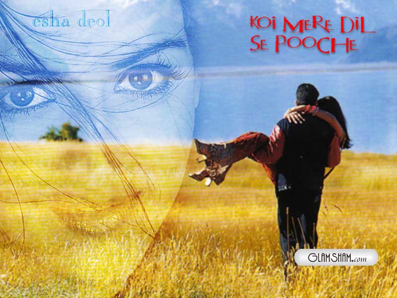 Koi Mere Dil Pooche - HD Wallpaper 