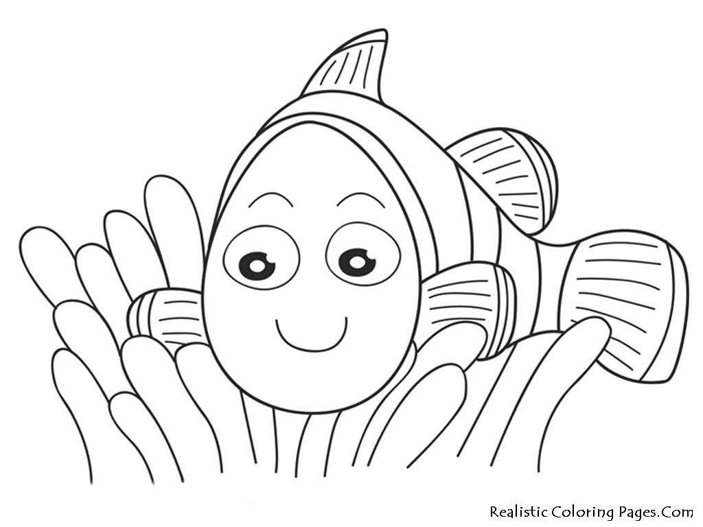 Nemo Fish Coloring Realistic Nemo Kids Pages Printable - Fish Coloring Sheets For Kids - HD Wallpaper 