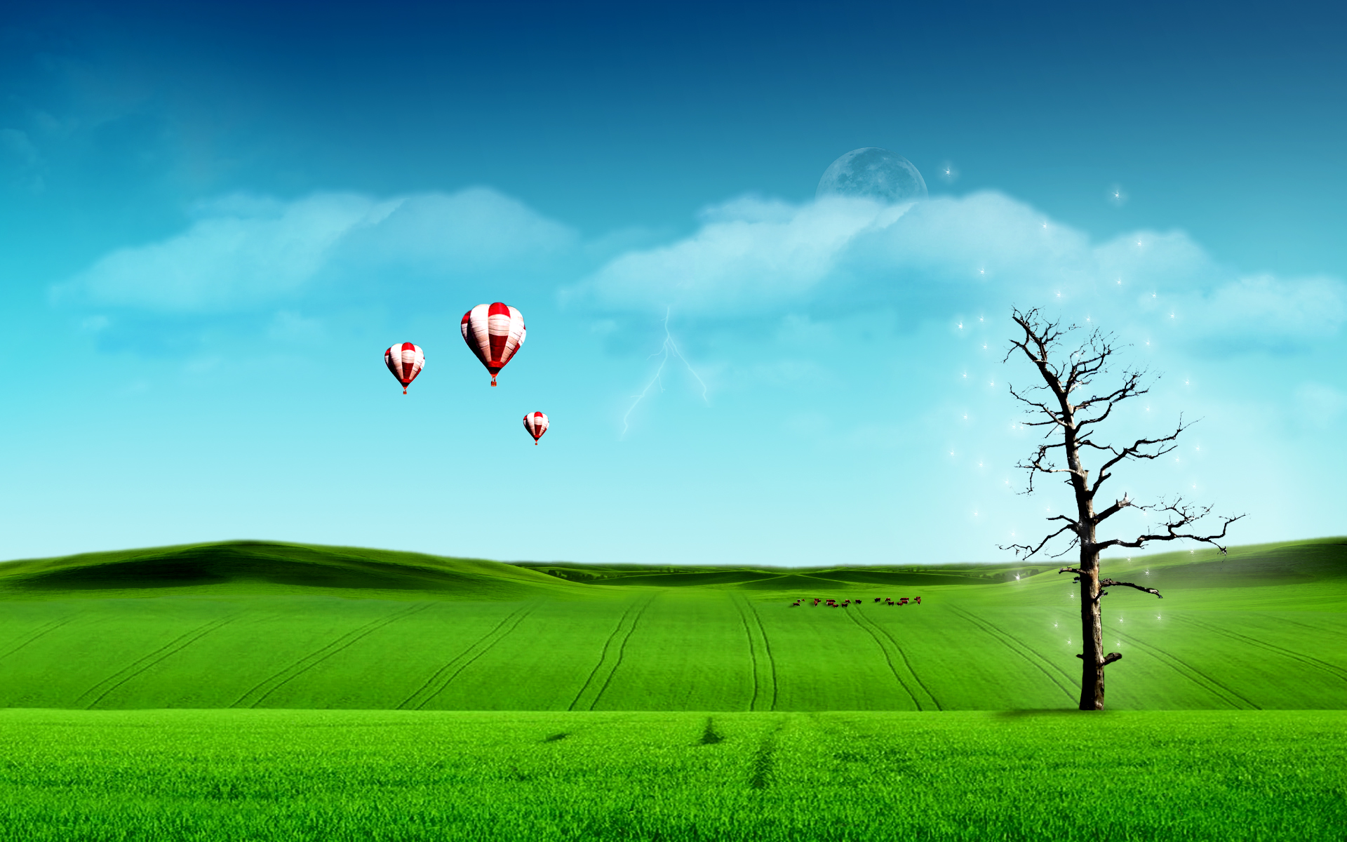 Balloon Green - HD Wallpaper 