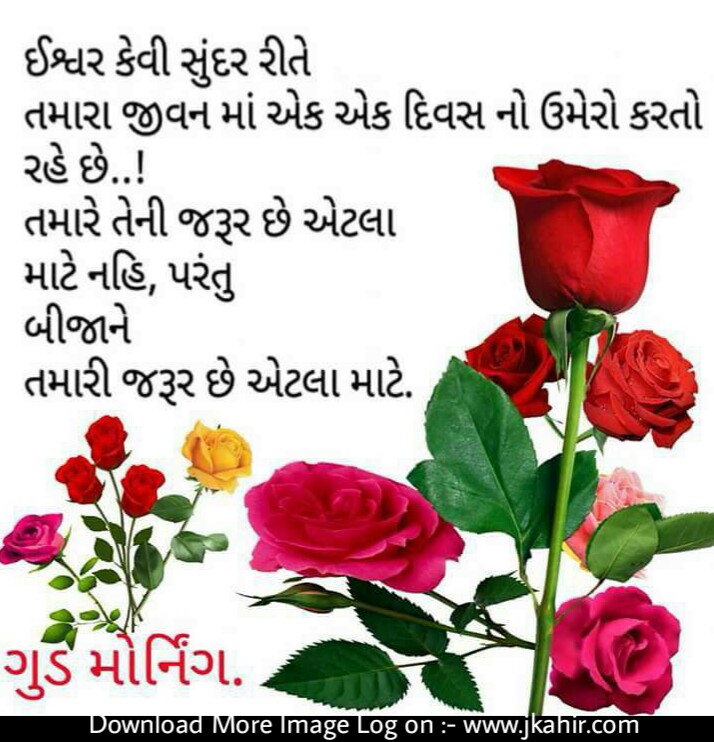 ગુડ મોર્નિંગ - HD Wallpaper 