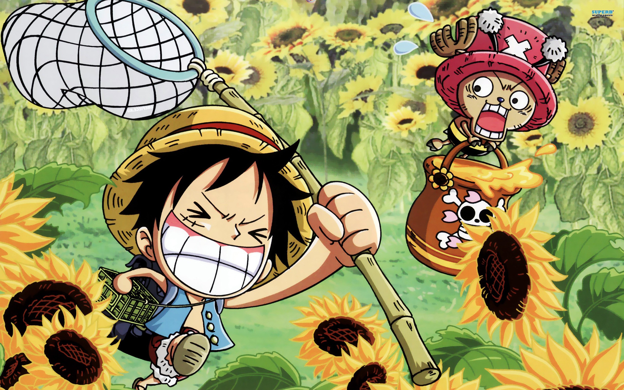 One Piece Background Hd Desktop Wallpapers Hd 4k High - Desktop