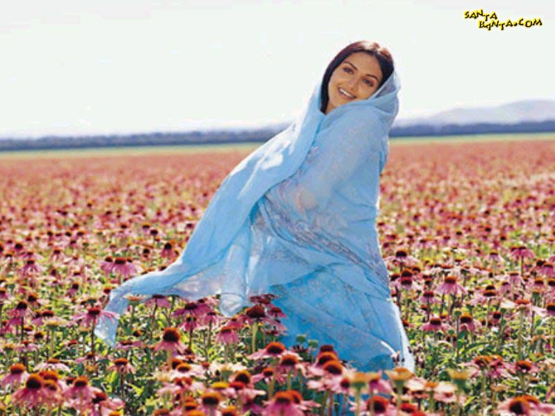 Koi Mere Dil Se Pooche - Wildflower - HD Wallpaper 