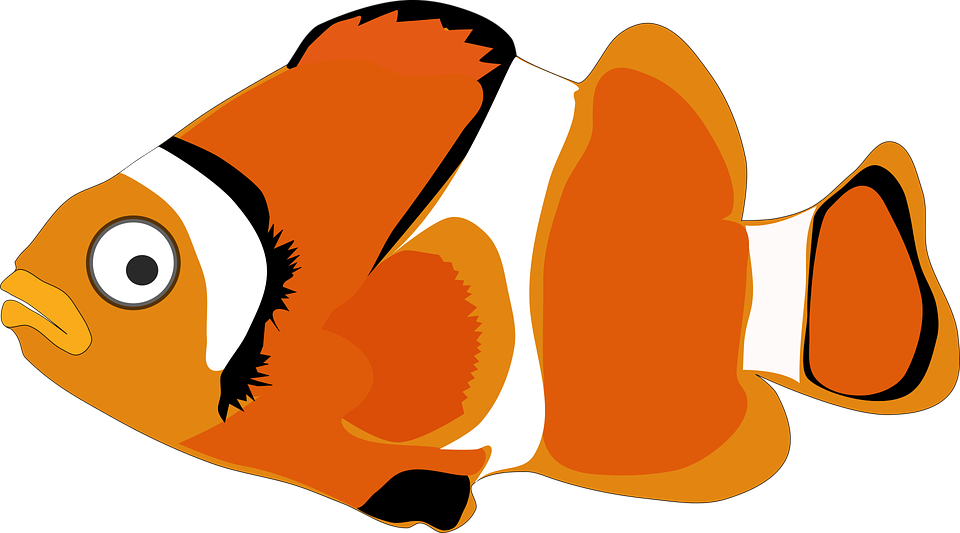 Thumb Image - Nemo Cartoon Clown Fish - HD Wallpaper 