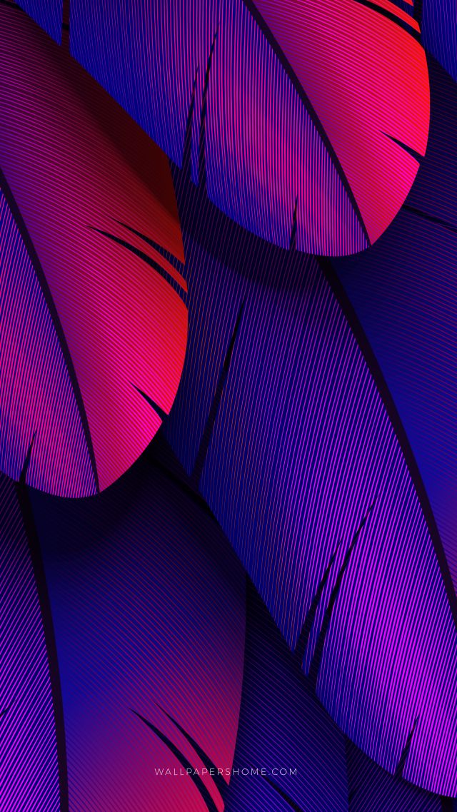Abstract, 3d, Colorful, 8k - Gradient Feathers - HD Wallpaper 
