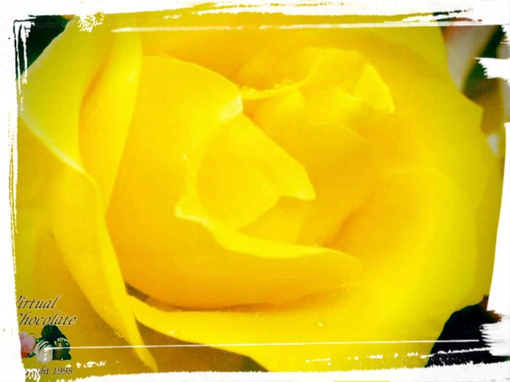 Frases Para Mates Personalizados De La Vida - HD Wallpaper 