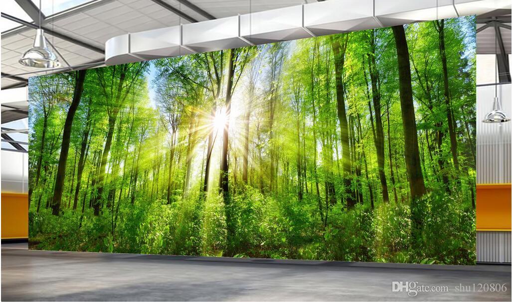 Mural De Floresta - HD Wallpaper 