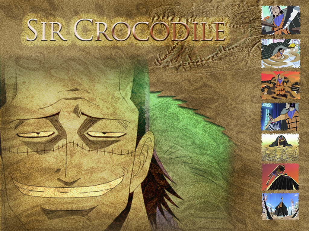 Crocodile - Crocodile One Piece - HD Wallpaper 
