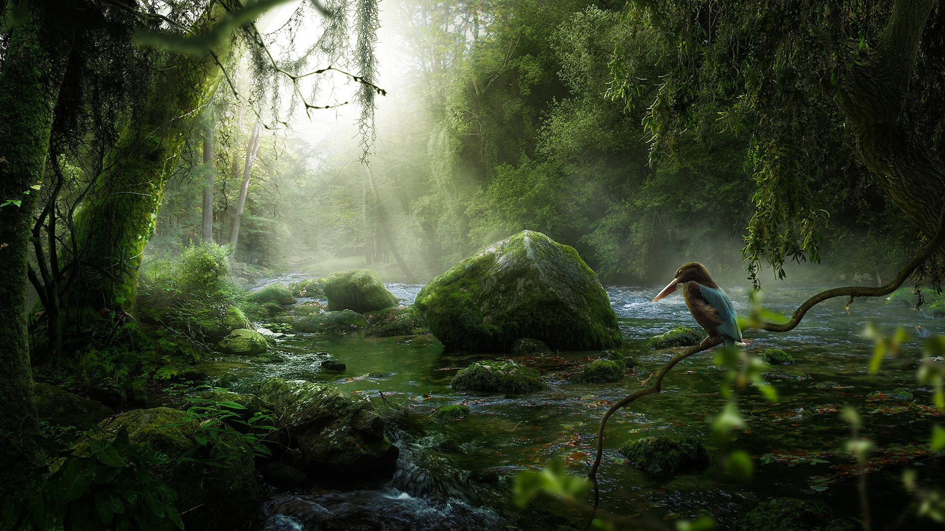 3d, Graphics, Nature, River, Stones, Moss, Trees, Branch, - Riparian Forest - HD Wallpaper 