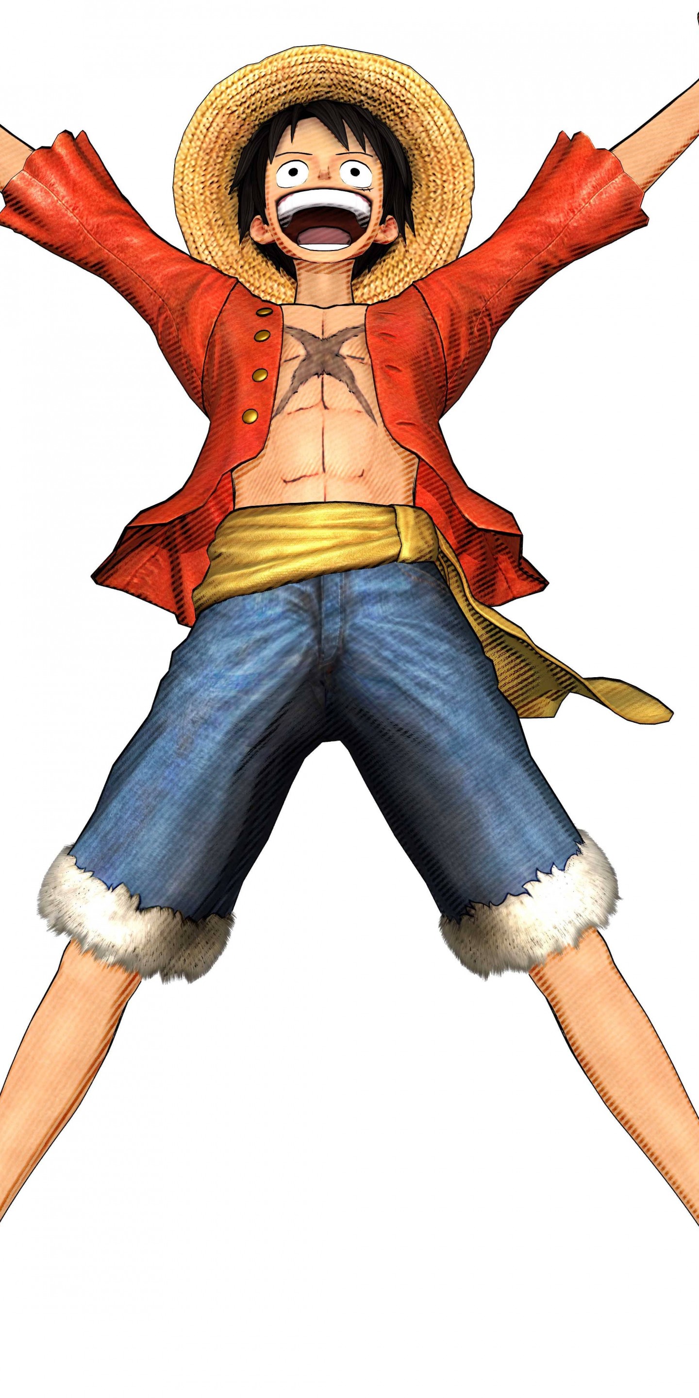 One Piece Pirate Warriors 3 Png - HD Wallpaper 