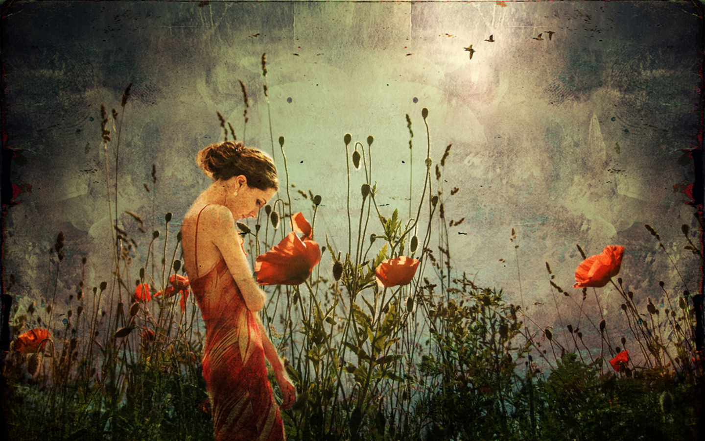 Hungry Ghosts I Don T Think About You Anymore - HD Wallpaper 