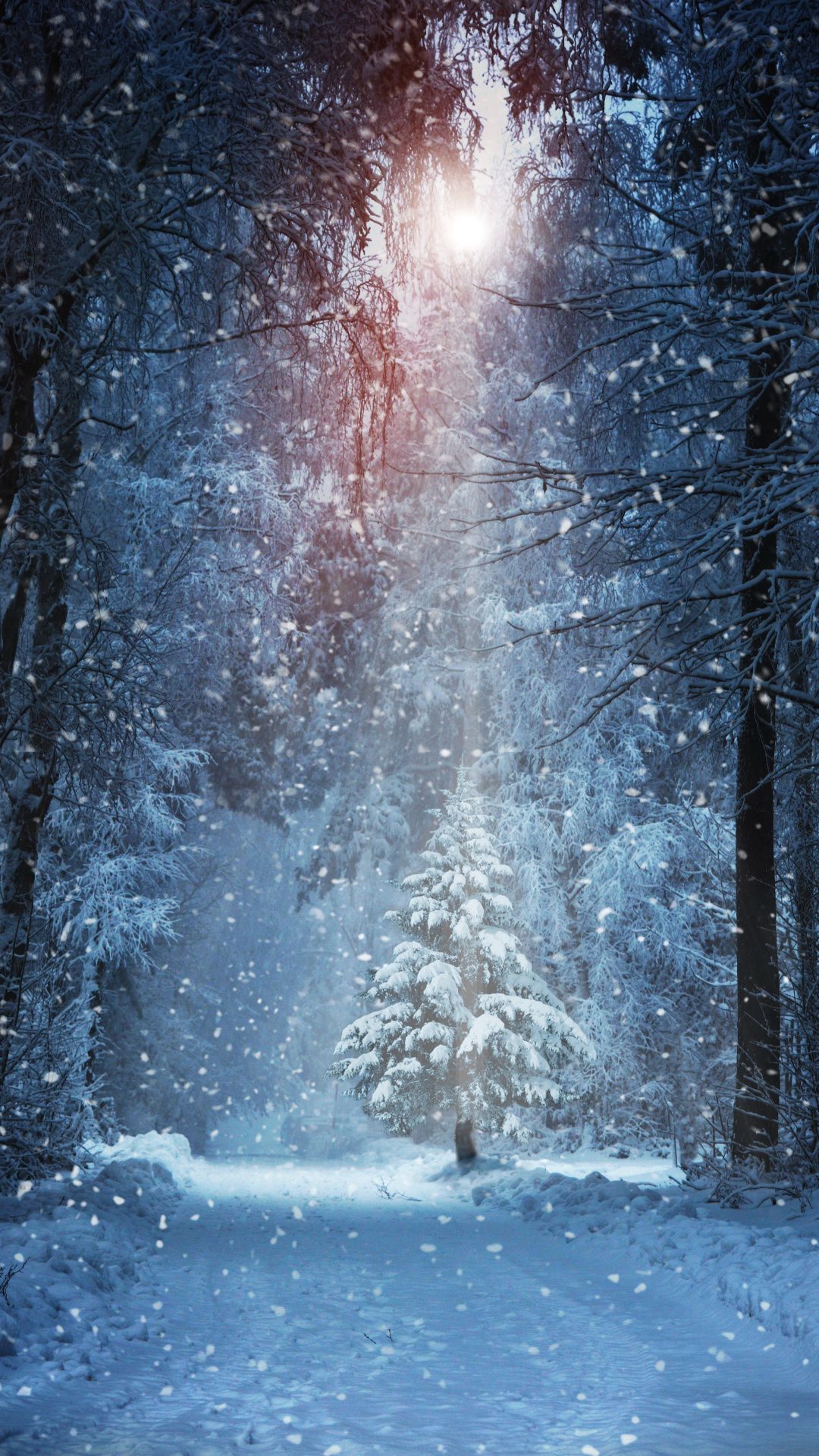 Winter Christmas - HD Wallpaper 