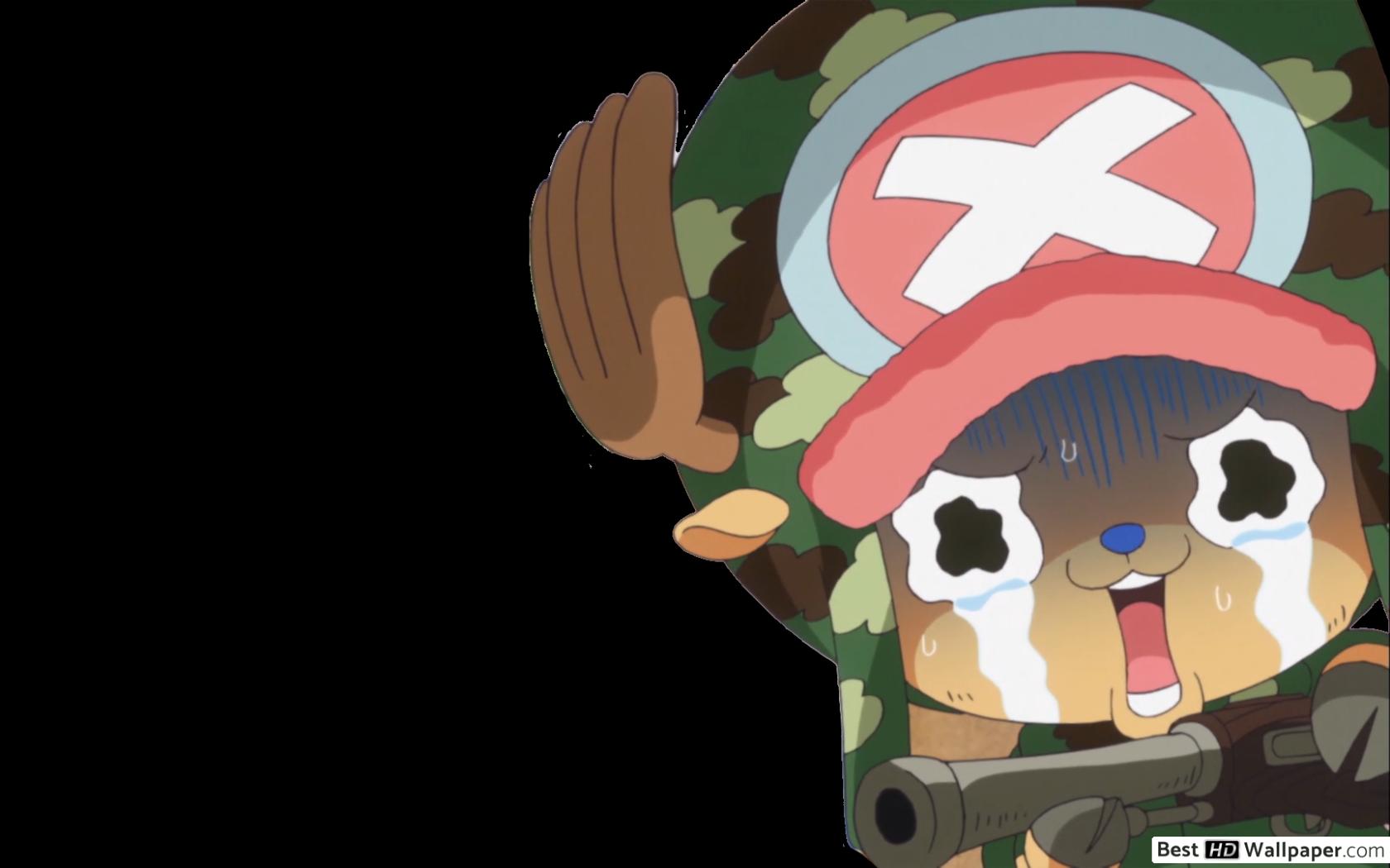 Fondos De Pantalla Hd Tony Tony Chopper - HD Wallpaper 