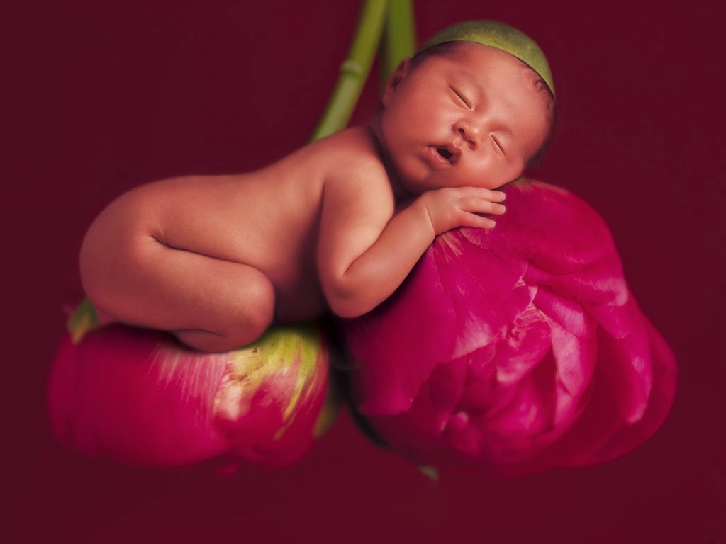 Beautiful Baby Wallpapers - 1024x768 Wallpaper Beautiful Baby Wallpapers - 1024x768 Wallpaper