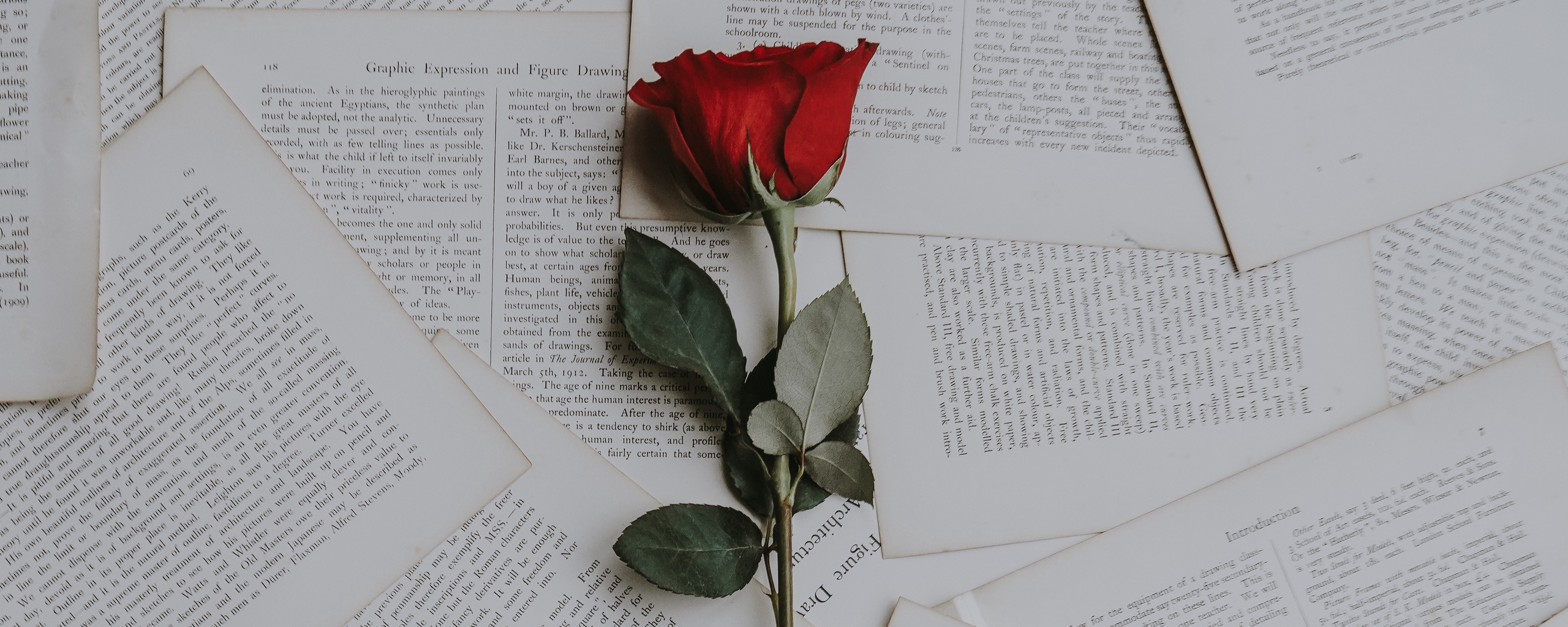 Wallpaper Rose, Books, Texts - Roses And Books Background - HD Wallpaper 