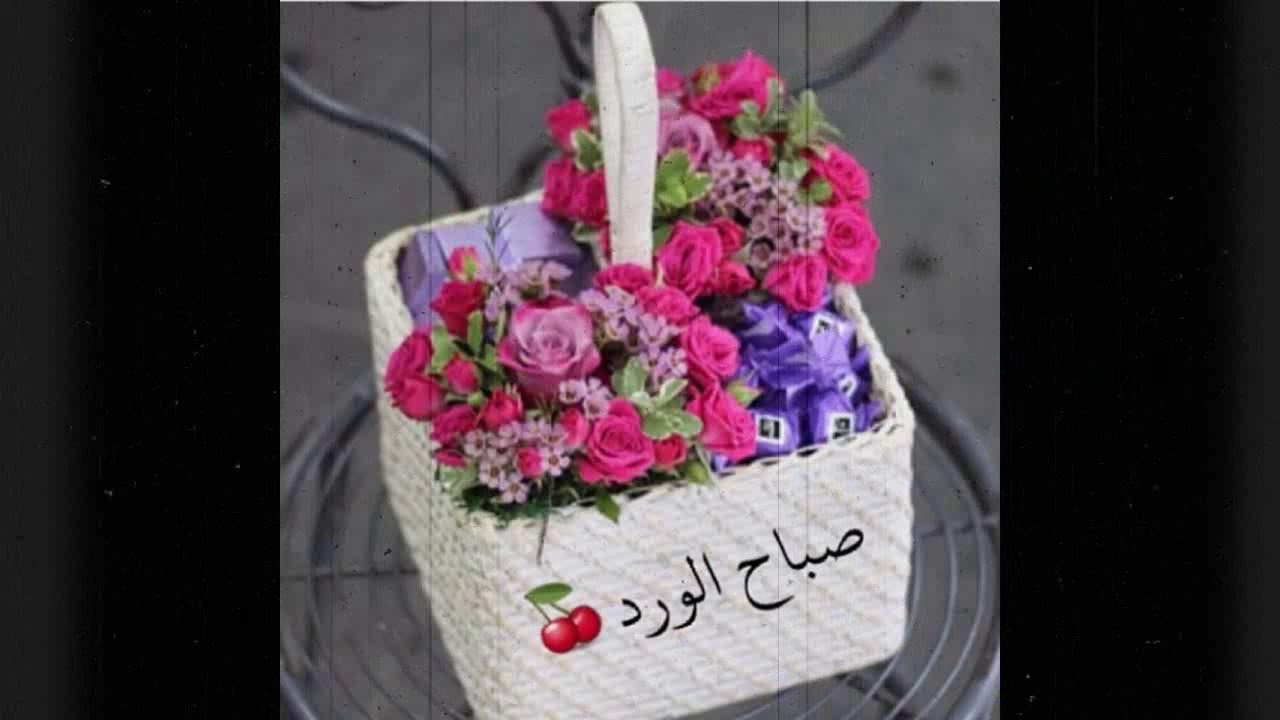 Morning - HD Wallpaper 