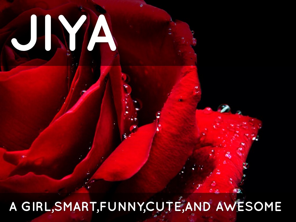 Jiya A Awesome - 1080p Wallpaper Hd Red Rose - HD Wallpaper 