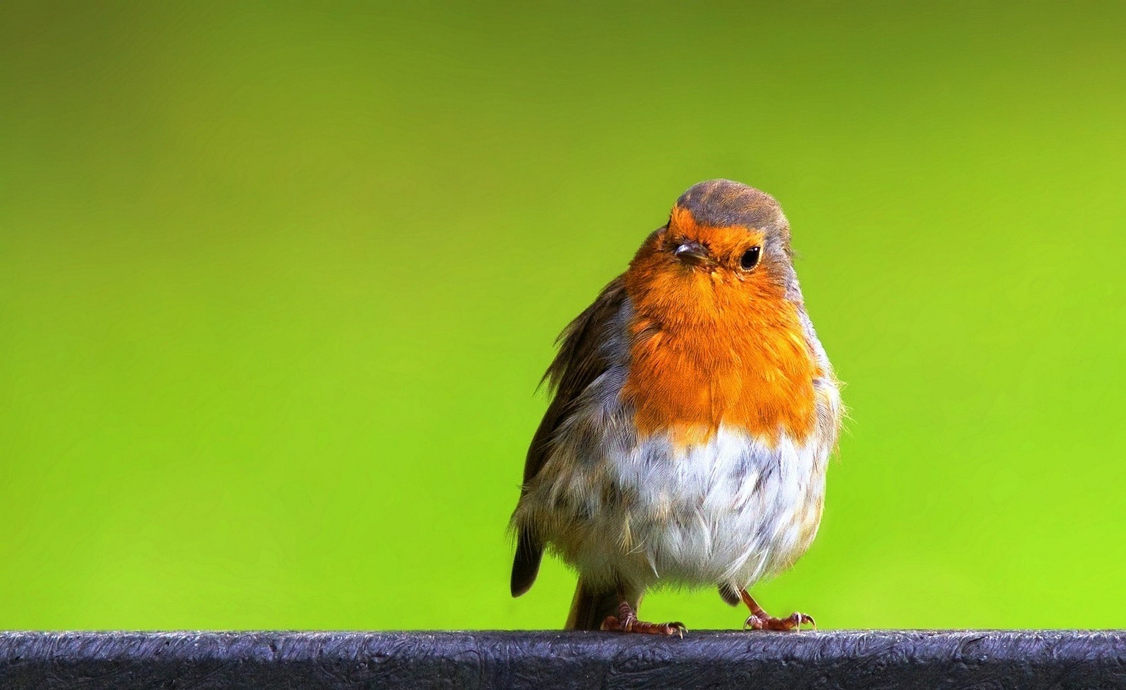 Anime Sad Love Romantic Hd Heart U 237099 Wallpaper - Wallpaper - HD Wallpaper 