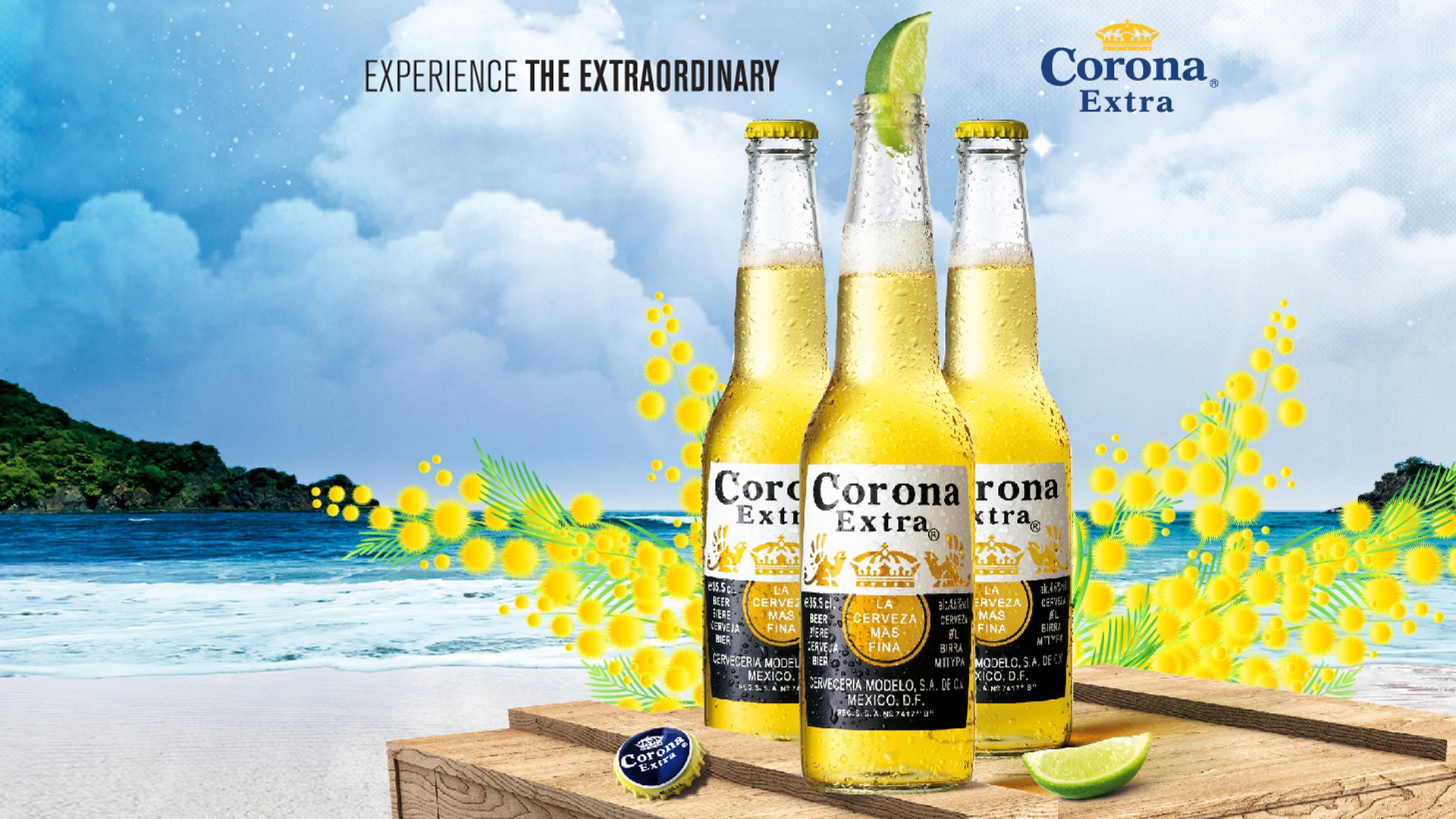 Corona Beer And Beach View Hd Wallpaper - Corona Background - 1920x1080