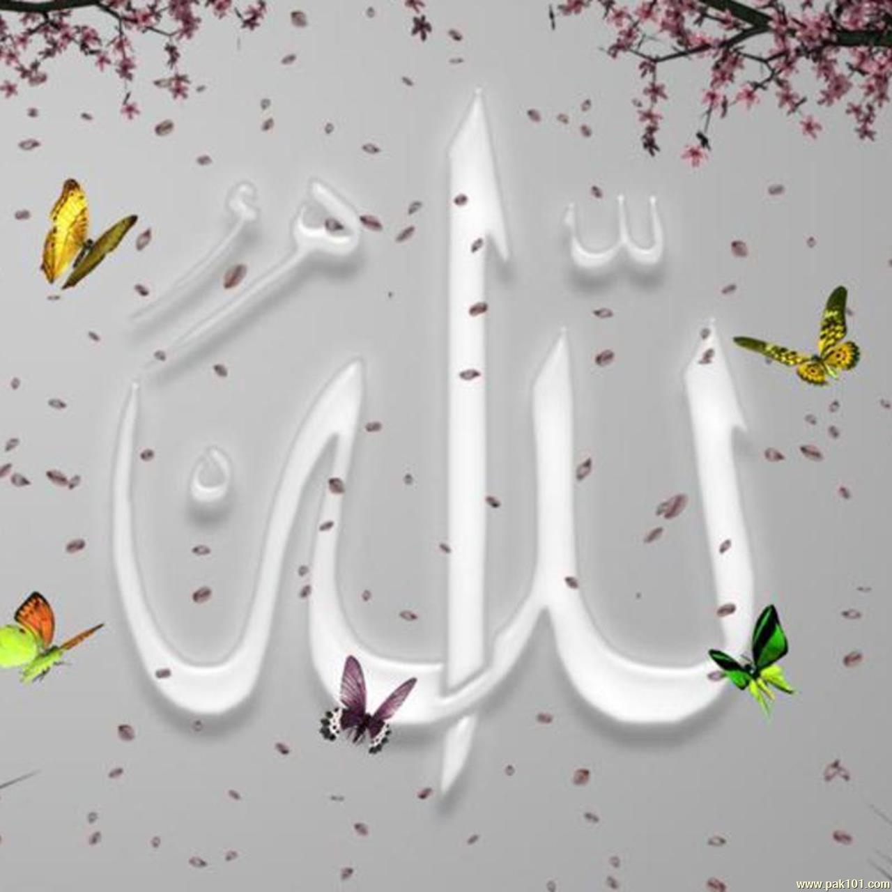 Beautiful Name Allah - New Posts Of Allah - HD Wallpaper 