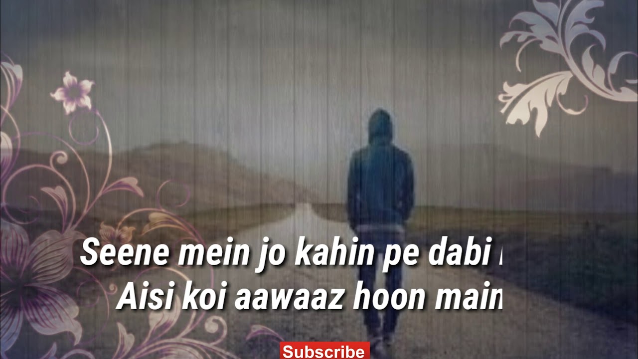 Moth Orchid - HD Wallpaper 