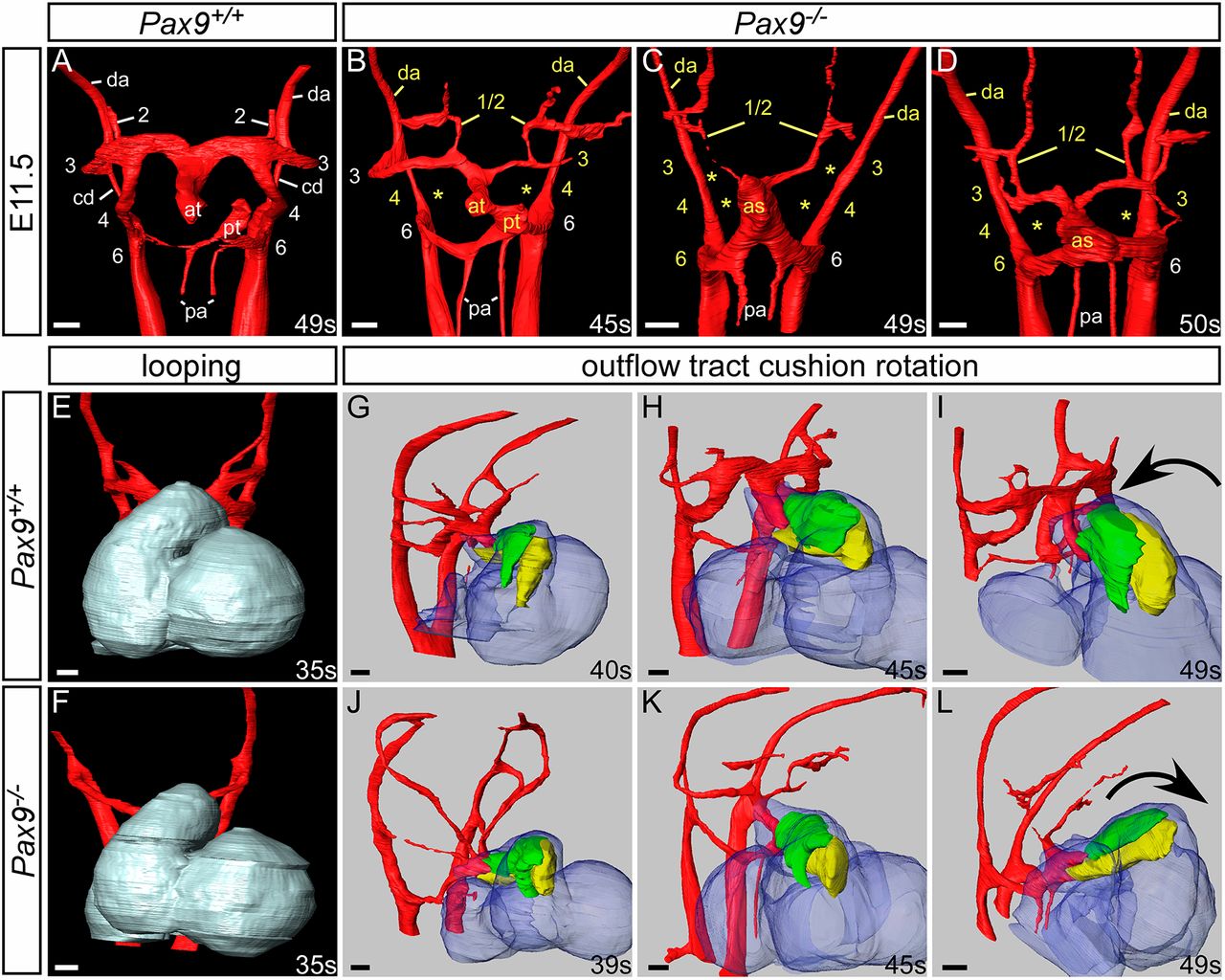 Illustration - HD Wallpaper 