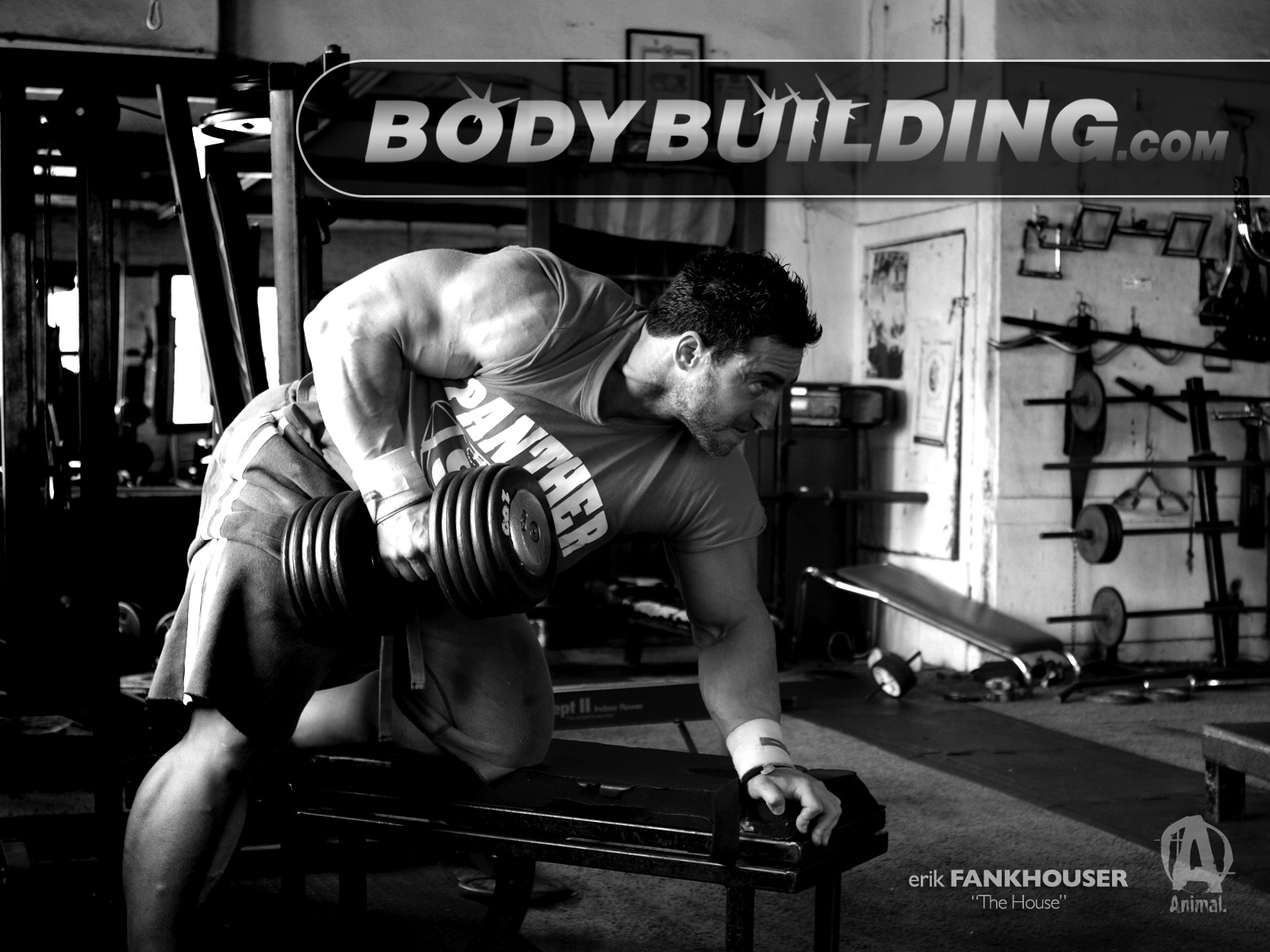 Gym Bodybuilding - Gym Wallpaper New Bodybuilder - HD Wallpaper 