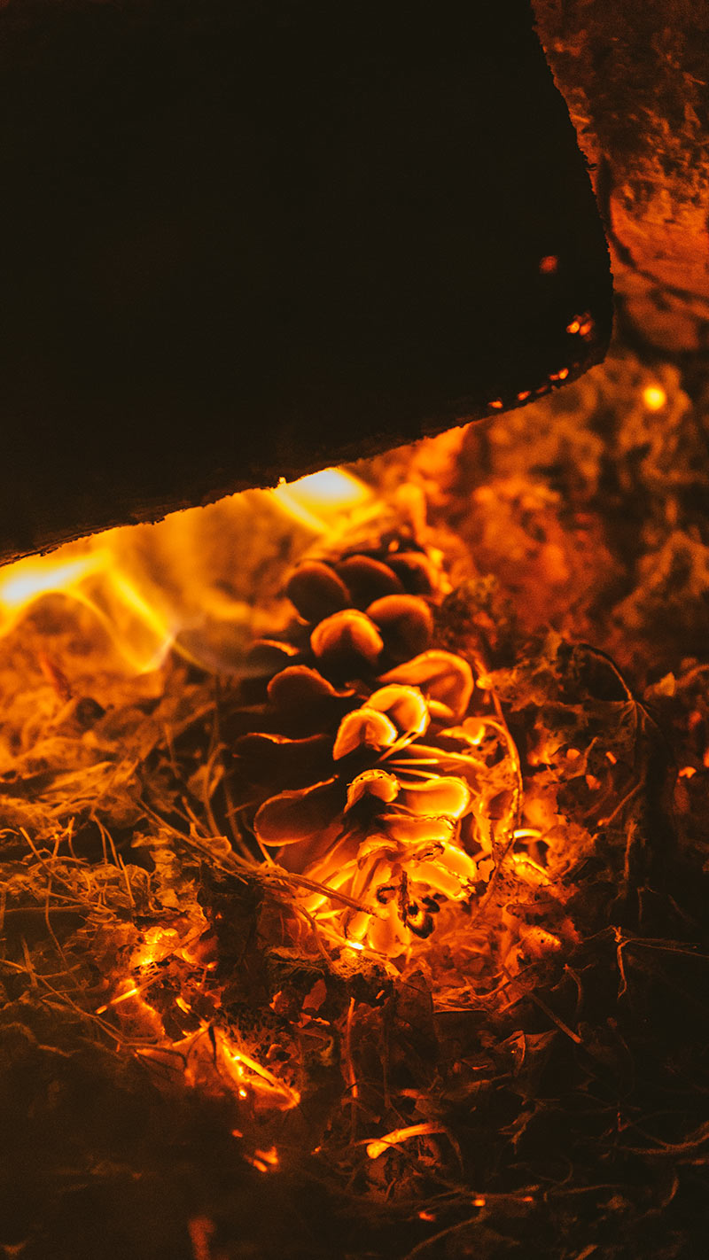 Wally Wallpapers - Flame - HD Wallpaper 