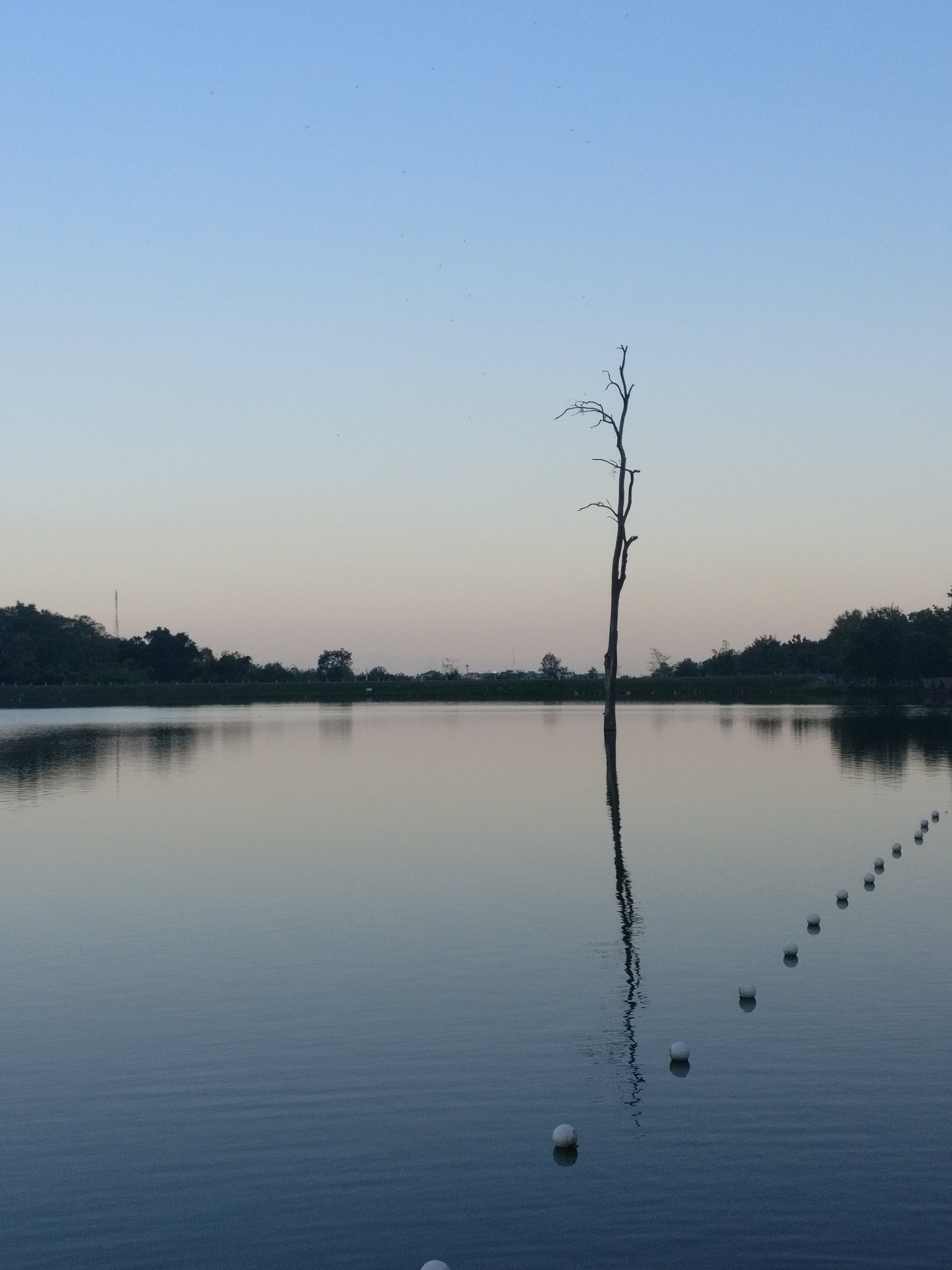 Reflection - HD Wallpaper 