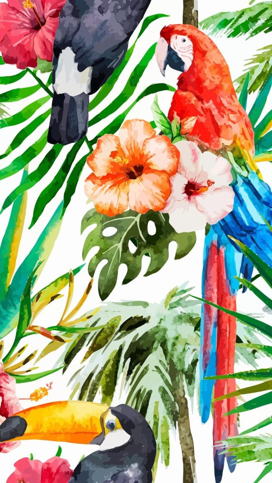 Colorful, Fondos And Iphone - Tropical Birds Background - HD Wallpaper 