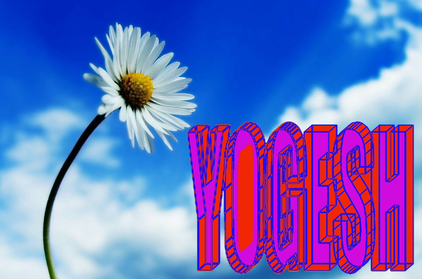 Peaceful Theme - HD Wallpaper 