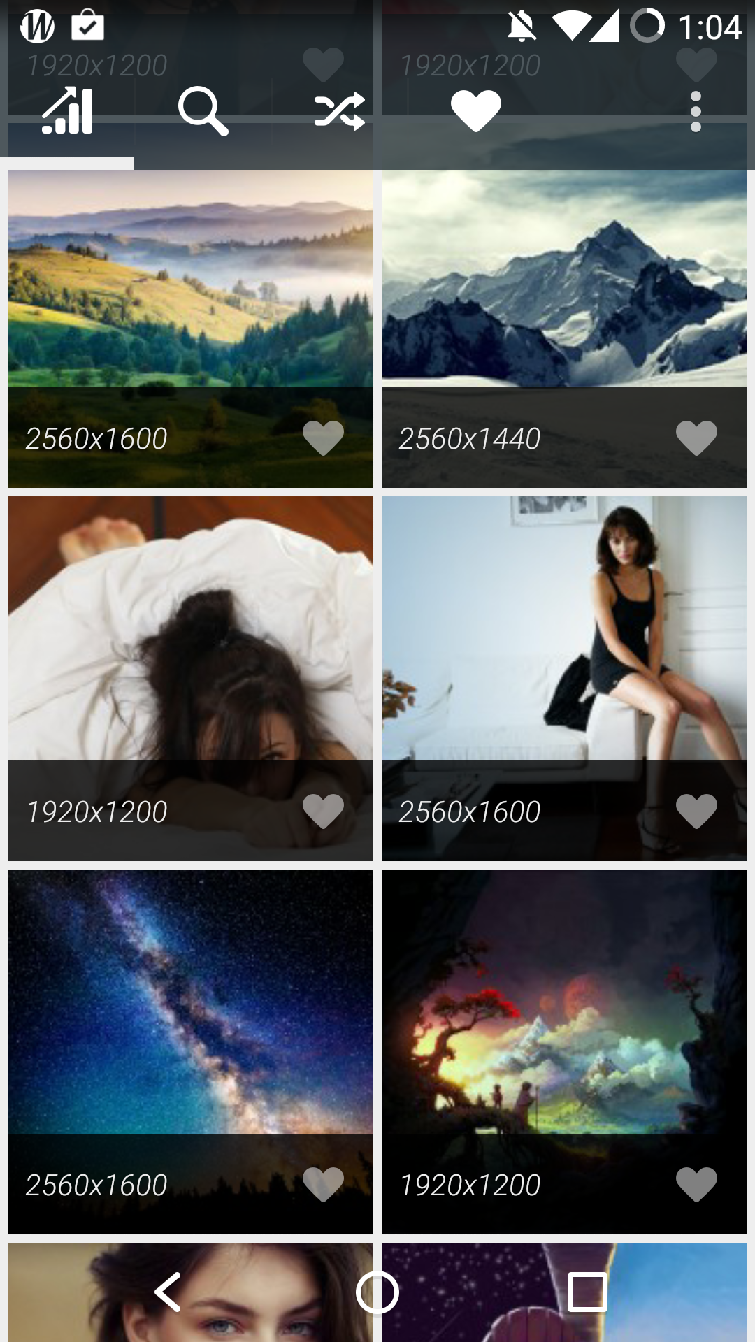 Collage - HD Wallpaper 