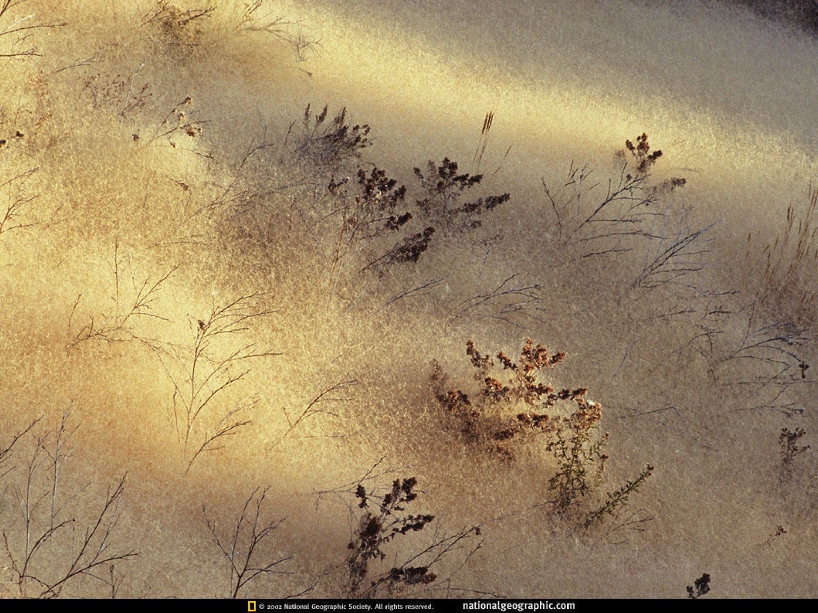Nature Wallpaper Tumblr,landscape, Nature Wallpapers, - Sand - HD Wallpaper 