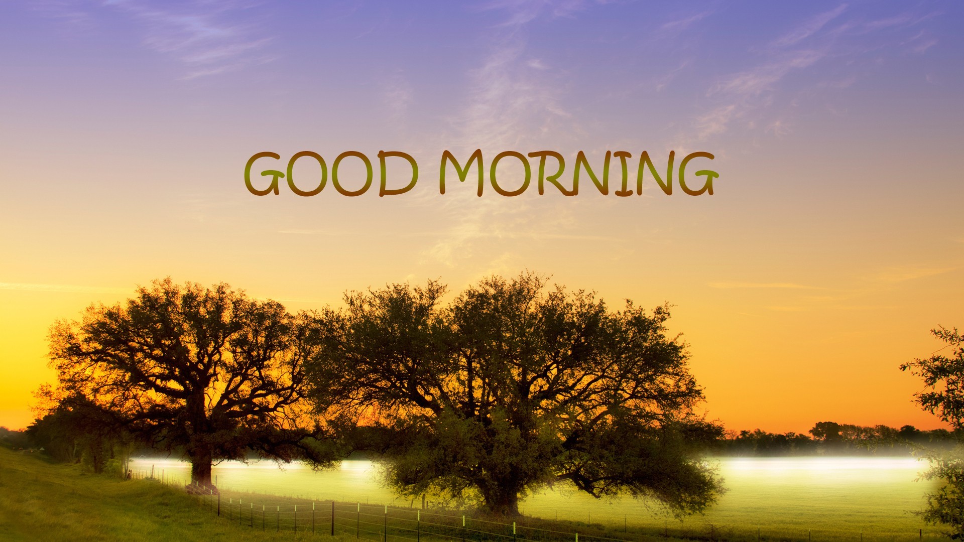 Hd Good Morning Nature 17 Good Morning Natural Wallpaper - Good Morning Scenery Hd - HD Wallpaper 